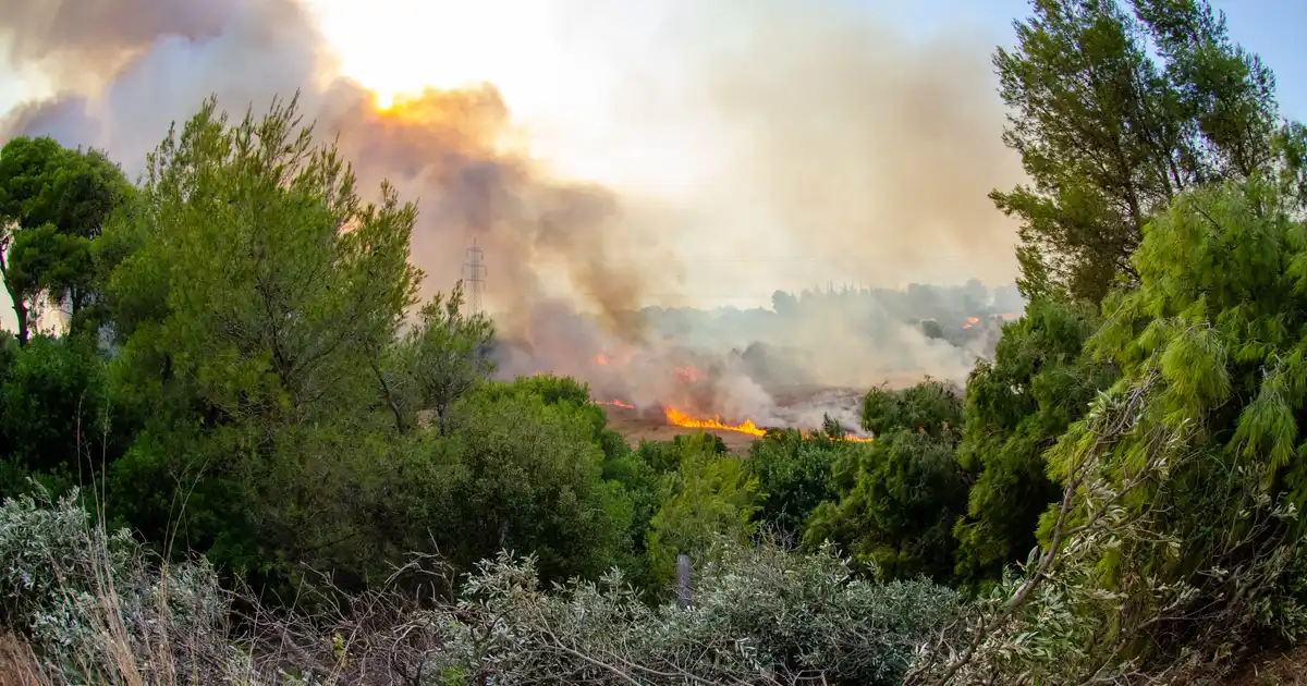 Waldbrand-Vorsorge Brandenburg