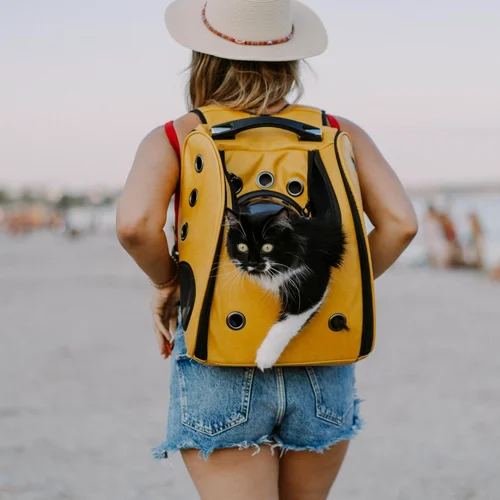 Haustier-Evakuierungsgerät bis 25kg mit 15m Seil